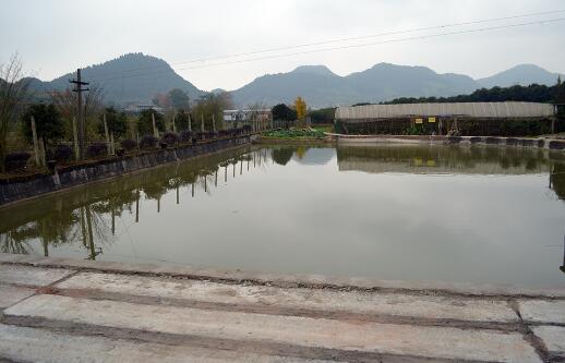 北碚虎头山农家乐