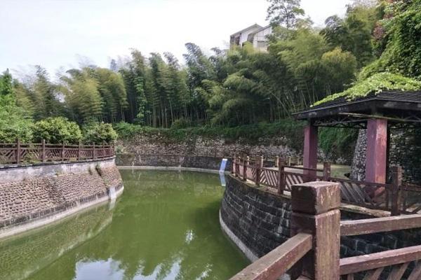 2022ɽ湥 -  - Ʊ - ʱ - ַ