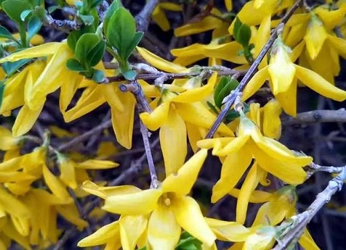 0dd7912397dda144ad34a317ebefc7a20cf431ad2847