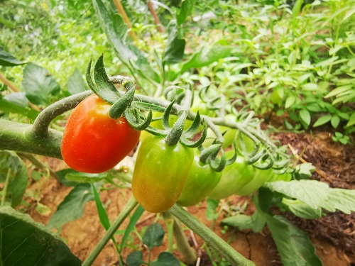 e73359983b820706f916ee27af3709aa3176