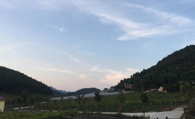 山Ũׯ԰