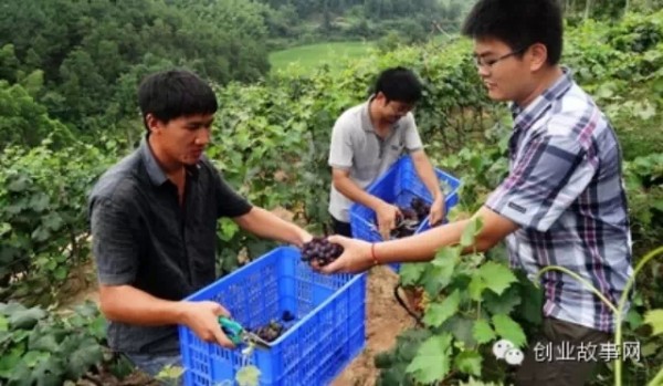 重庆3名大学生回农村创业-我们就是要做新型农民