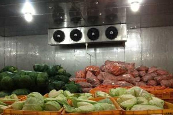 冷库储存蔬菜利润多大？一般能储多长时间？