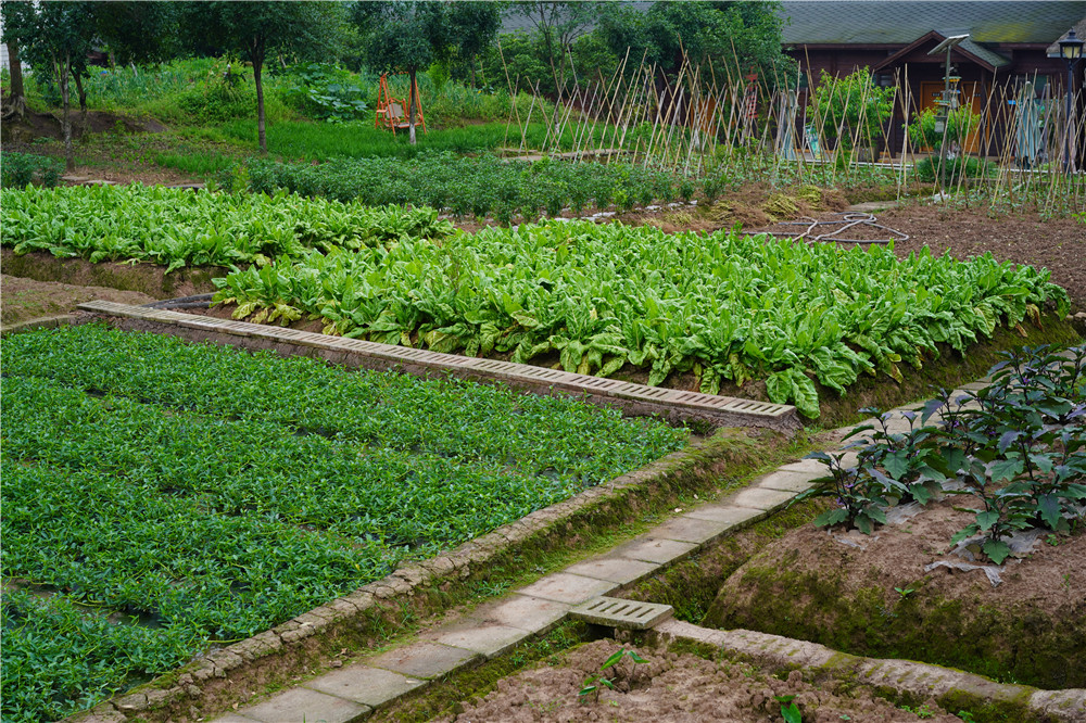 重庆南海地球村 生态农业观光园