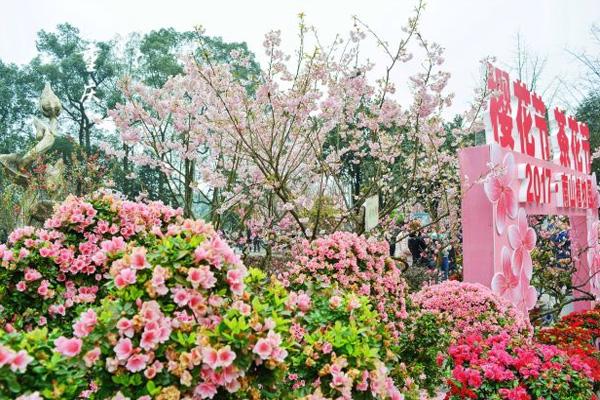 2023重庆南山植物园旅游攻略 - 门票价格 - 开放时间 - 交通 - 地址 - 简介 - 天气 - 电话