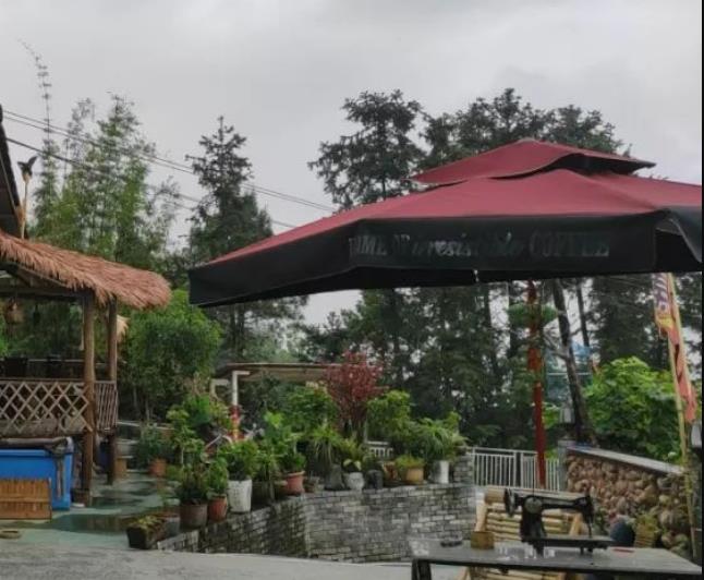 �ǰ�կ<a style=color:#FF0000 href=https://www.3-v.net/art-10-43-yw.html>����</a>���������<a style=color:#FF0000 href=https://www.3-v.net/art-10-43-yw.html>����</a>���������׽ǰ�կ,Ӱ��