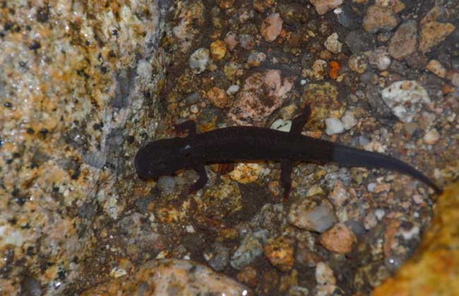 �������㷸����