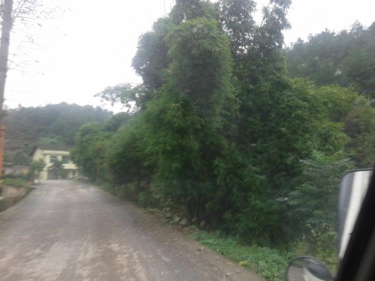 �����Լ��η�ȥ���ɵ�<a style=color:#FF0000 href=https://www.3-v.net/art-10-3-yw.html?dq=>ũ����</a>�Ƽ���6�������ܱߺóԺ�ˣ�ַ��ɵĺ�ȥ������