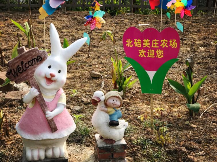 ������Ѷ