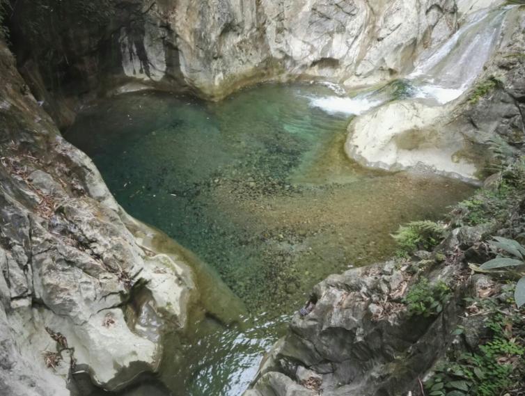 ������Ѷ