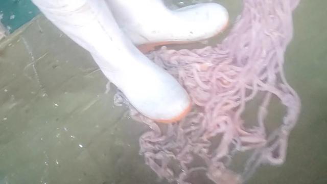 Ѽ쳦ع⣡Ե׼ߵ绰ɱй¶θģ