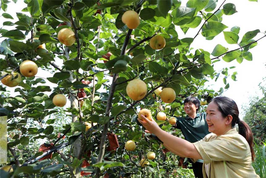 82e0ddec01ce4238a51cc875710b27c9