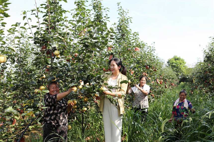 4a2b09673c634034872987b55d987c2c