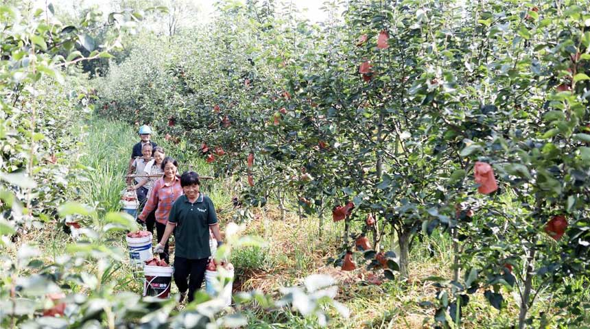 8424d4dd6a044461993404d09149f59f