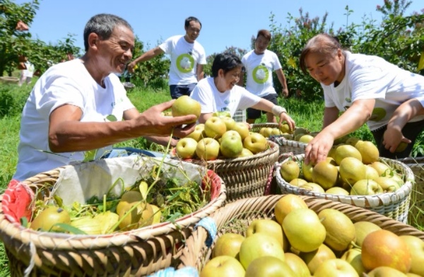 ��ʥ����ա���ʥ��ͼ