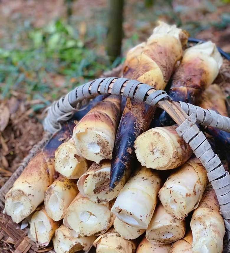 �������ر���ƺ�����������Ƶ�