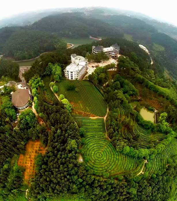 ��ƺ�ر��������ĳ�С�� ����������������